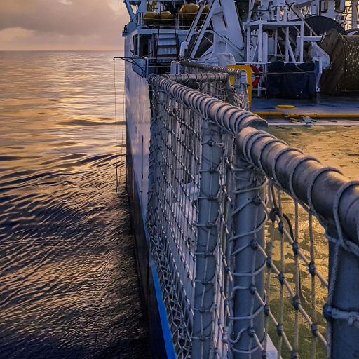 How Do Duplex and 316 Stainless Steel Perform in Specific Applications