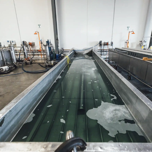 How do pickling and passivation affect the metal surface differently