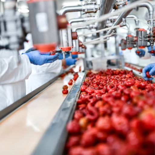Maintaining Hygiene in Food Processing