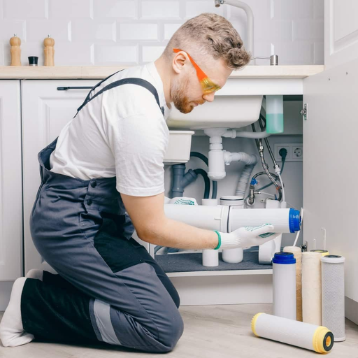 Maintenance and Cleaning of Sanitary Filters