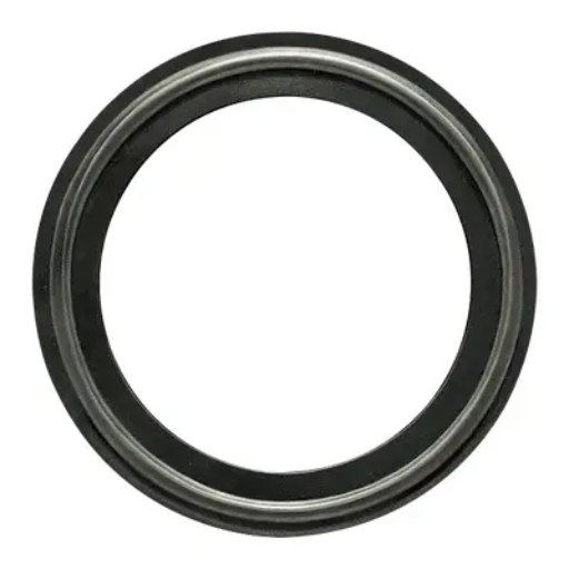Sanitary Gaskets
