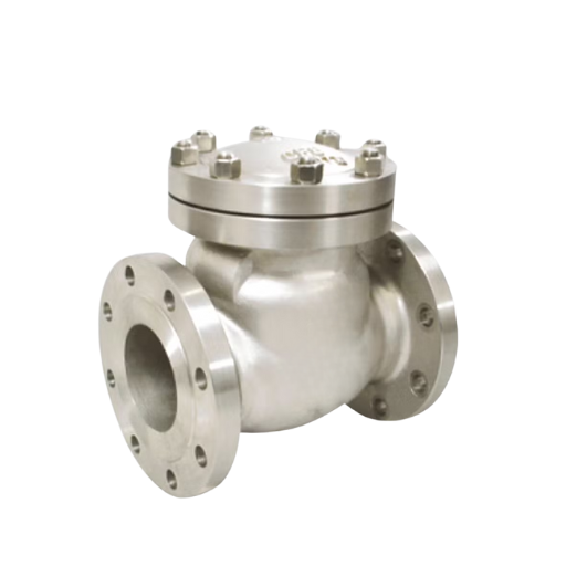Stainless Steel Check Valve