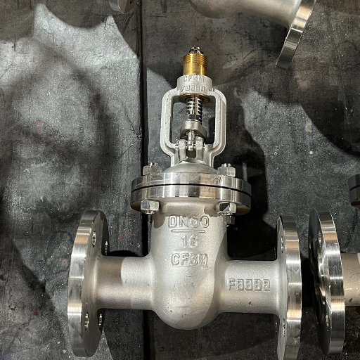 gate valve 16 DN50 CF3M 304L