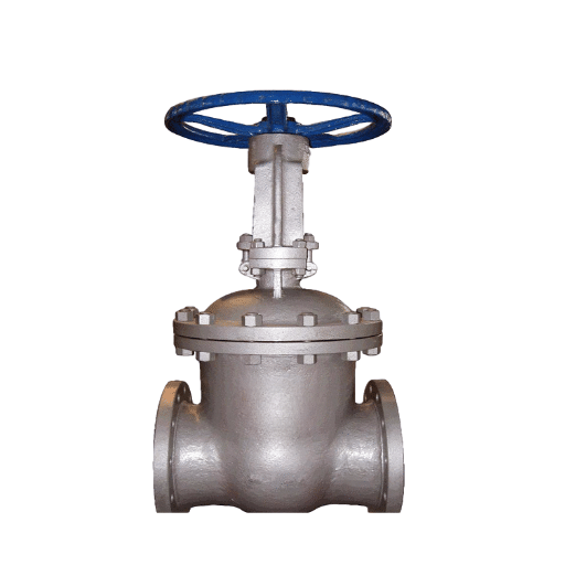 Functions and Applications of Valve Types