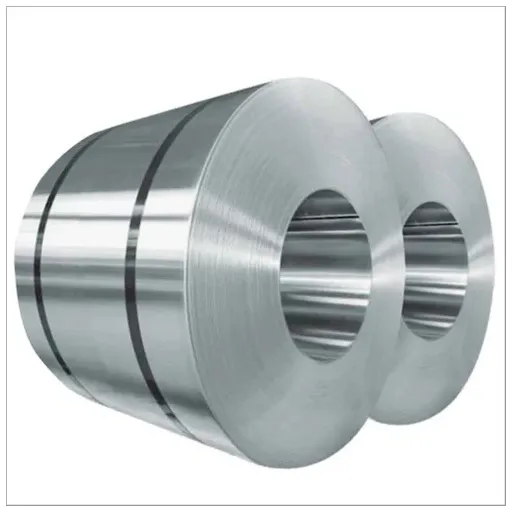 General Properties of 310S Stainless Steel